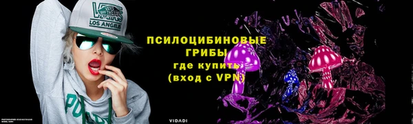 прущая мука Арсеньев