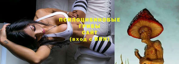 круглые Аркадак