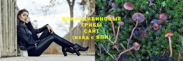 круглые Аркадак