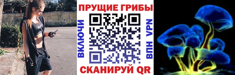 Псилоцибиновые грибы ЛСД  Мглин 